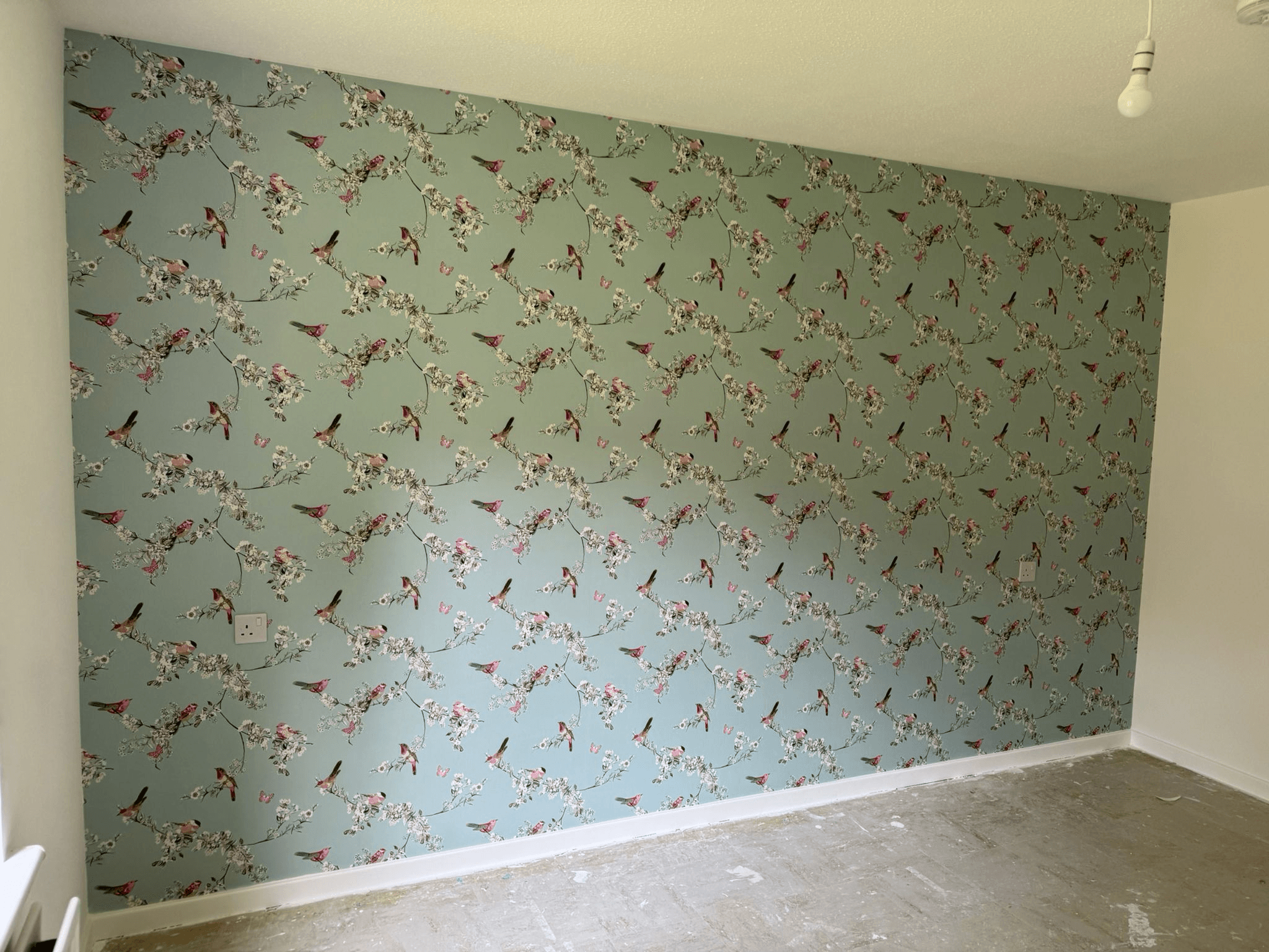 Teal bird and blossom wallpaper feature wall